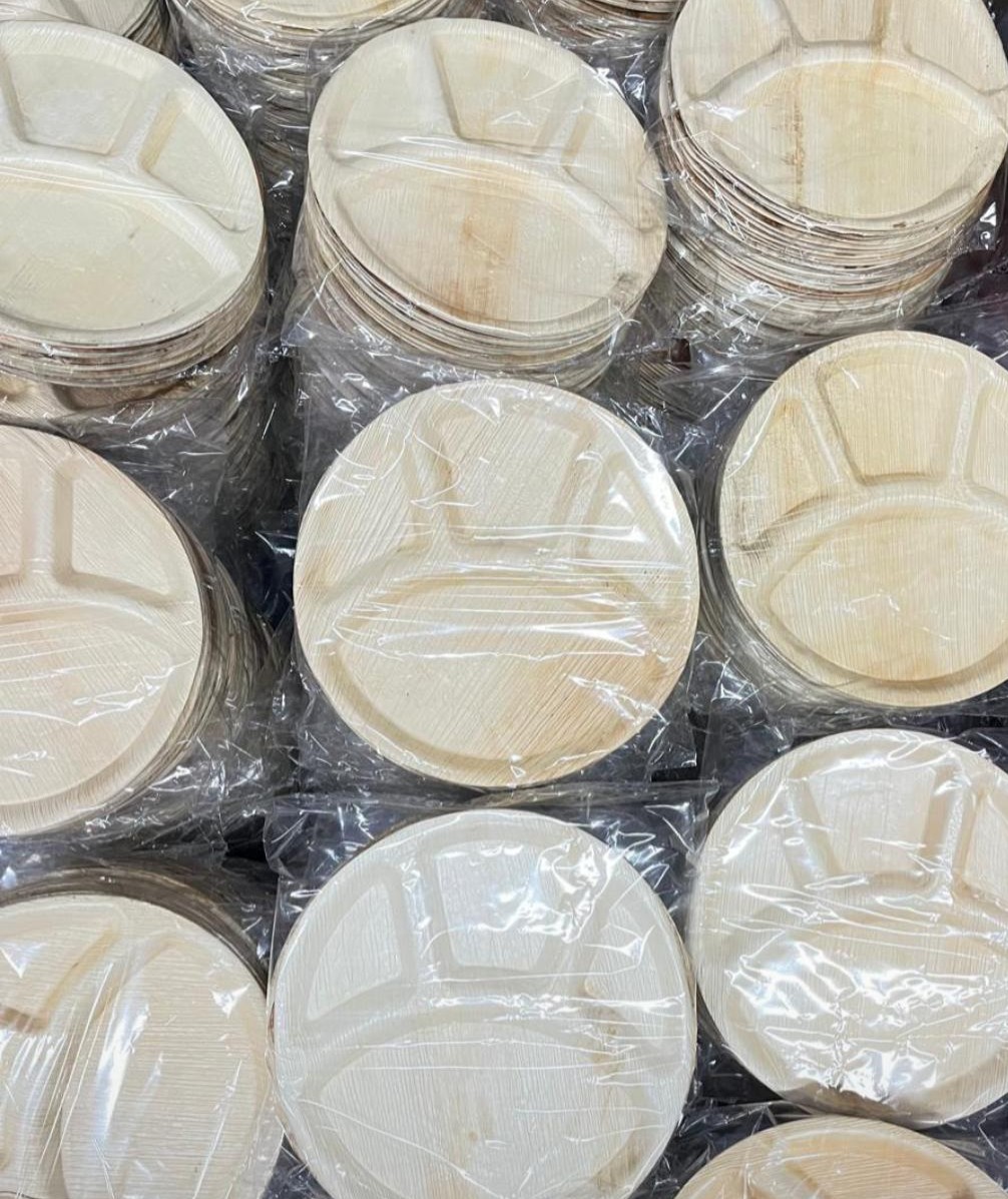 Close-up of areca leaf texture